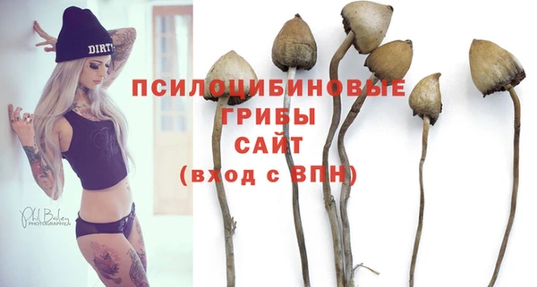 2c-b Алзамай