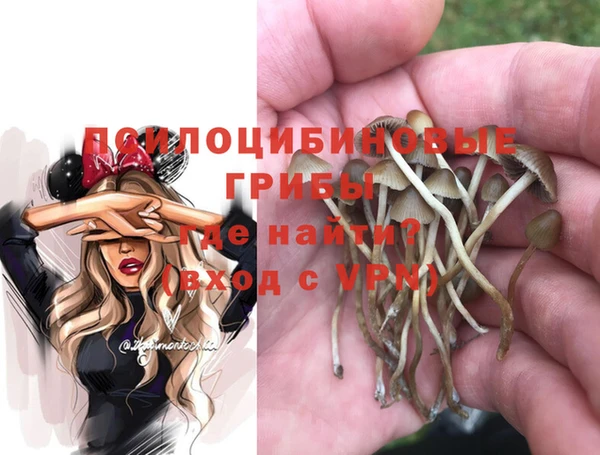 стаф Алексеевка