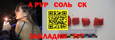индика Камень-на-Оби