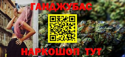 индика Камень-на-Оби
