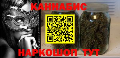 индика Камень-на-Оби