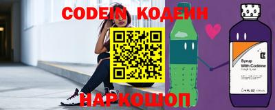 индика Камень-на-Оби