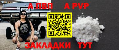 индика Камень-на-Оби
