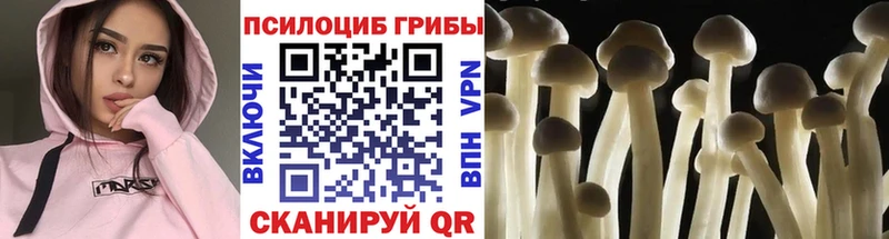 Псилоцибиновые грибы GOLDEN TEACHER Абакан