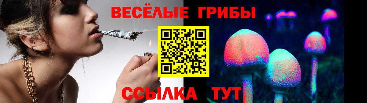 продажа наркотиков  Вход с VPN  Абакан  Галлюциногенные грибы GOLDEN TEACHER 