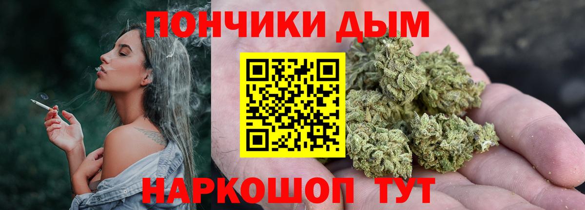 Канабис план Абакан